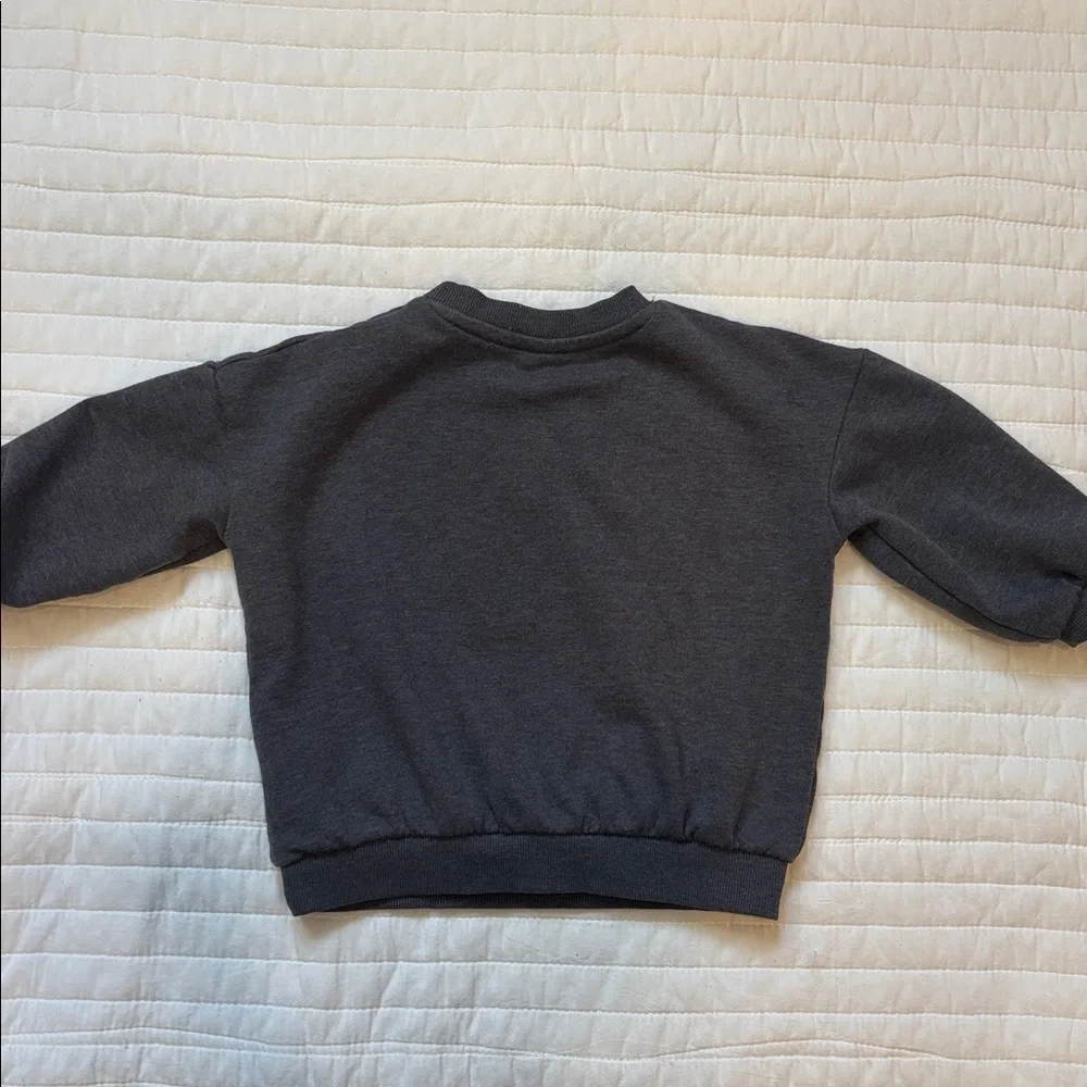 H&M Printed Sweatshirt Dark Grey Fox 2T